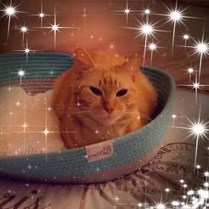 Meet your Posher, Keachia